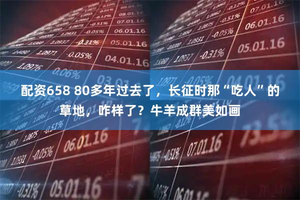 配资658 80多年过去了，长征时那“吃人”的草地，咋样了？牛羊成群美如画