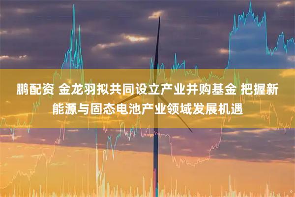 鹏配资 金龙羽拟共同设立产业并购基金 把握新能源与固态电池产业领域发展机遇